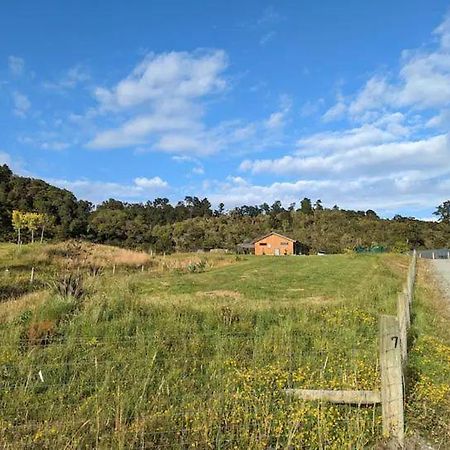 Enchanted Retreat In Greymouth Shared With Host מראה חיצוני תמונה
